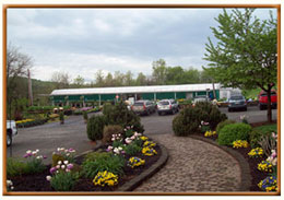 Cierech’s Greenhouse - Pohatcong, NJ-Cierech’s Pohatcong Growers' website